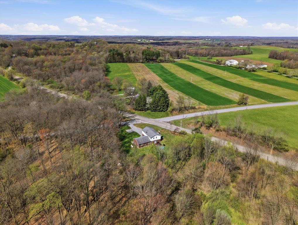 347 Harmony Road Slippery Rock, PA 16057 - Photo 35 of 42