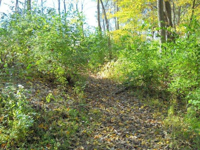 49 Hamilton Springs Road Lancaster, KY 40444 - Photo 14 of 23 Photo 14