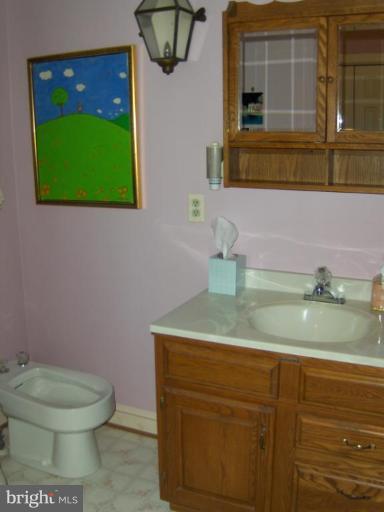 3638 Ady Road Street, MD 21154 - Photo 18 of 27 Master Bath