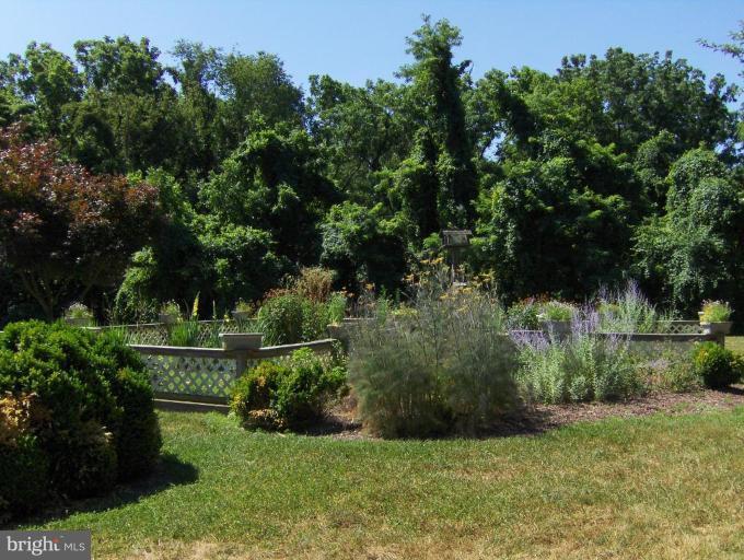 3638 Ady Road Street, MD 21154 - Photo 23 of 27 Garden