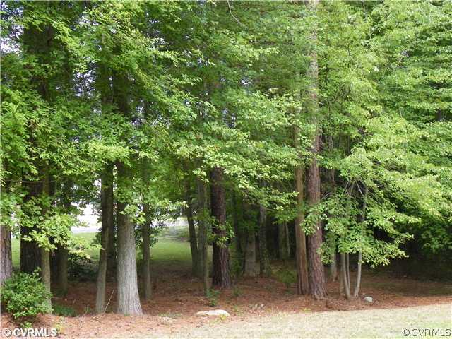 2511 Hicks Road North Chesterfield, VA 23235 - Photo 2 of 11 a backyard of a house with lots of green space