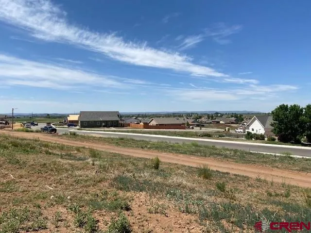 a view of a dry yard with lots of trees