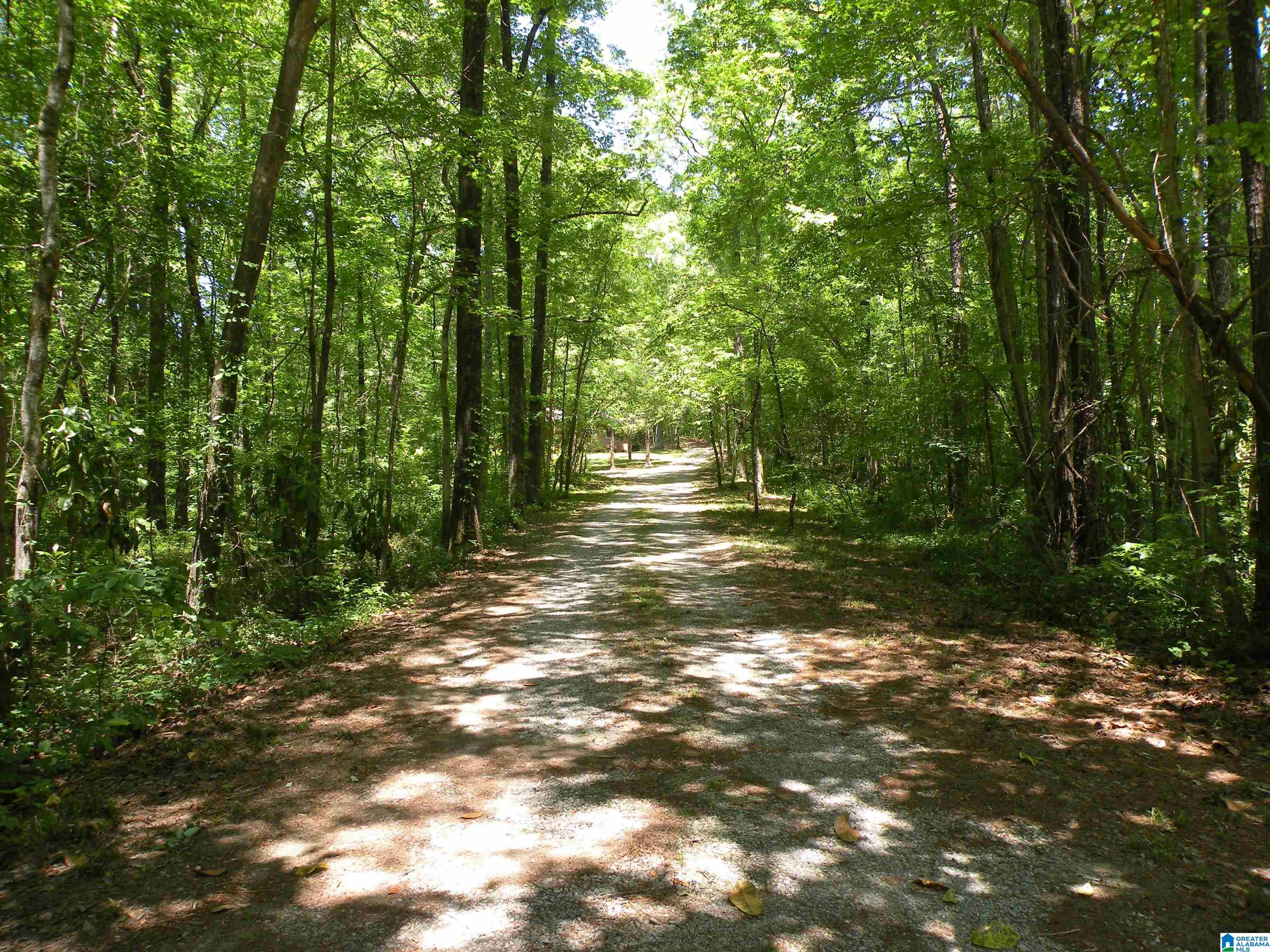 2961 Holmans Cross Road Goodwater, AL 35072 - Photo 2 of 27