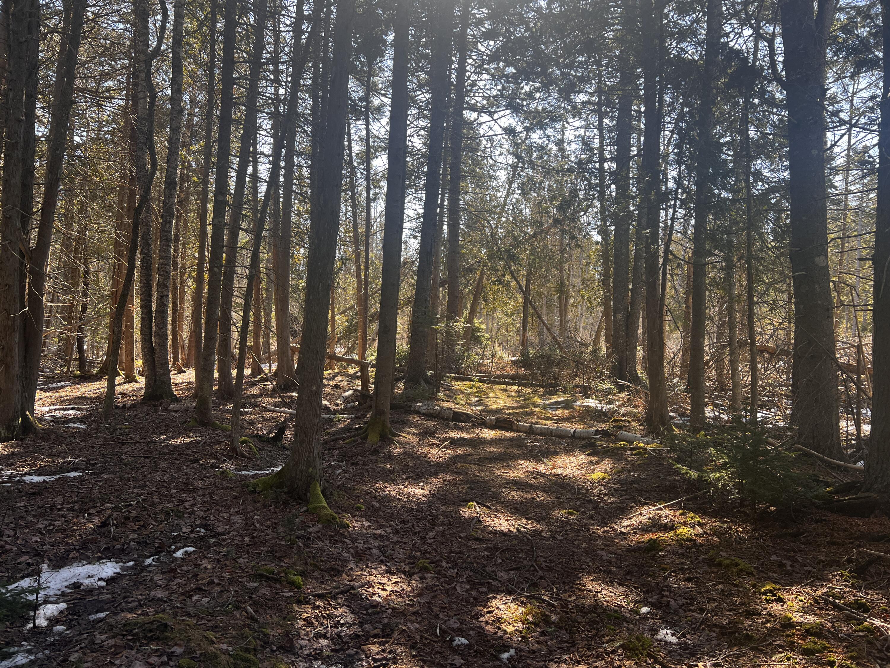 1148 Cape Rosier Road, Brooksville