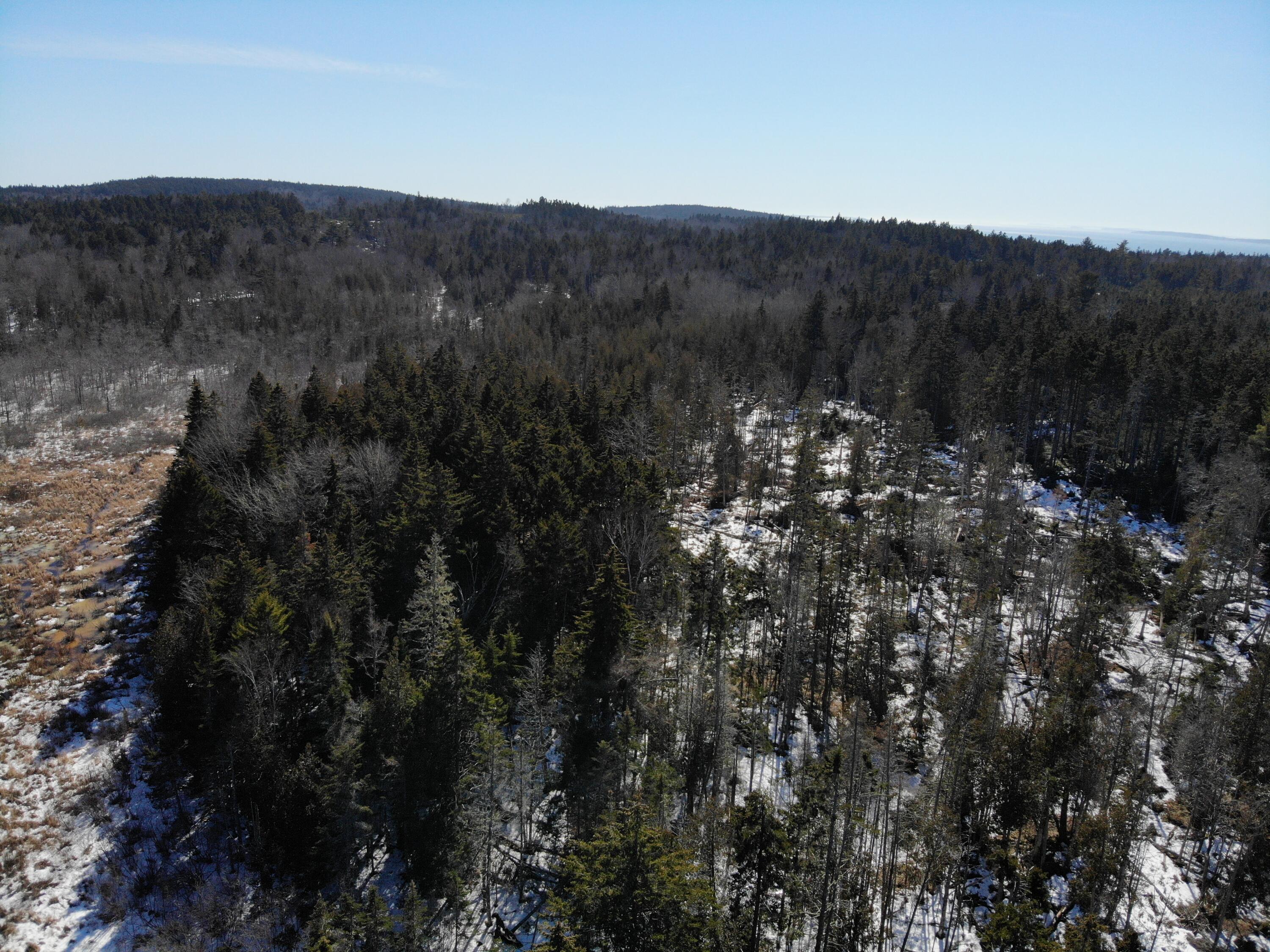 1148 Cape Rosier Road Brooksville, ME 04642 - Photo 12 of 18 1148 Cape Rosier Road, Brooksville