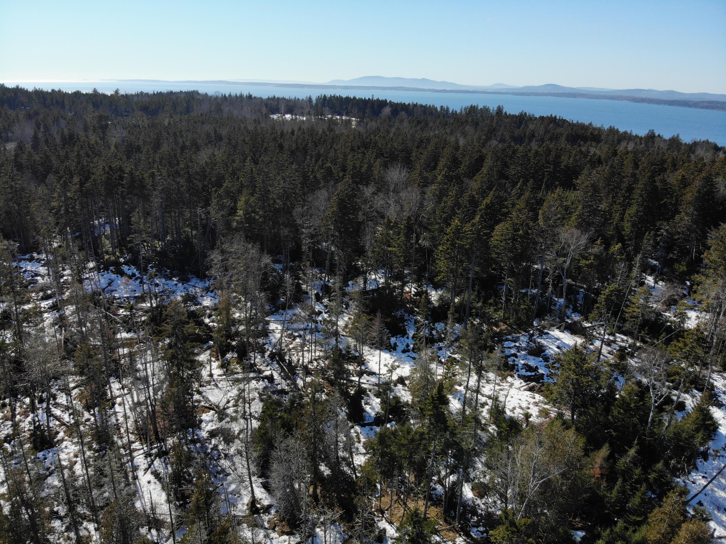 1148 Cape Rosier Road Brooksville, ME 04642 - Photo 13 of 18 1148 Cape Rosier Road, Brooksville