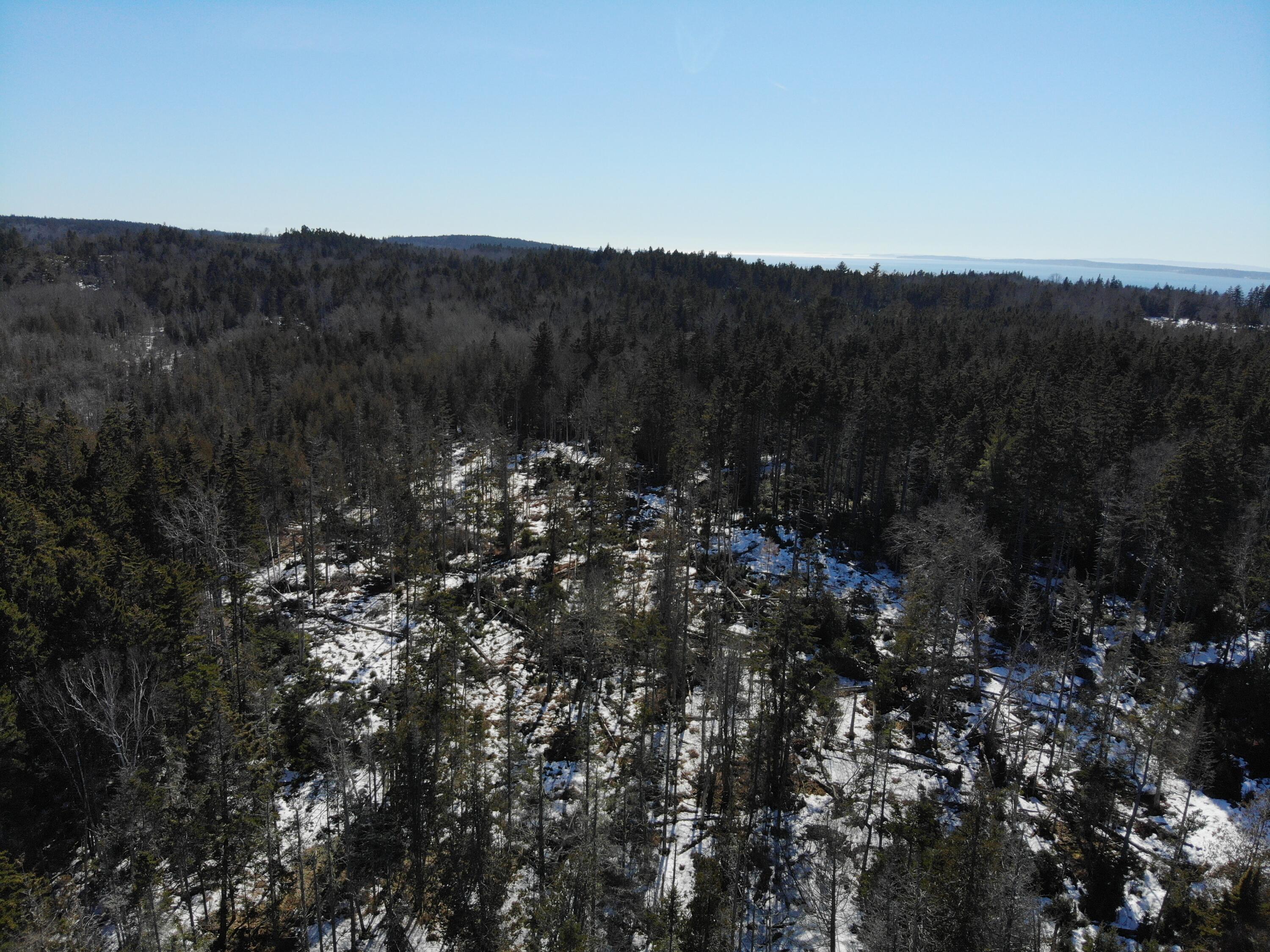 1148 Cape Rosier Road Brooksville, ME 04642 - Photo 14 of 18 1148 Cape Rosier Road, Brooksville
