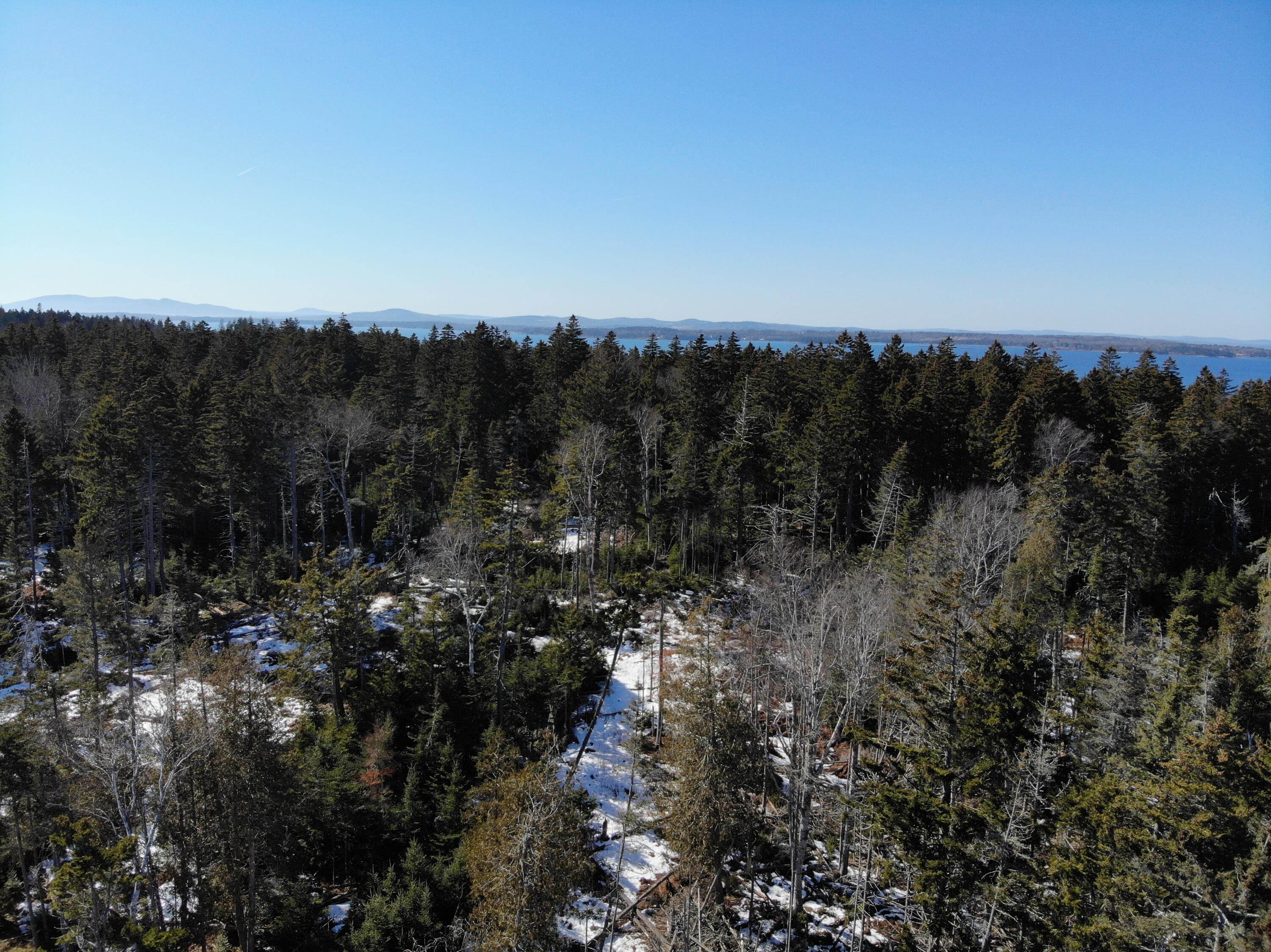 1148 Cape Rosier Road Brooksville, ME 04642 - Photo 15 of 18 1148 Cape Rosier Road, Brooksville