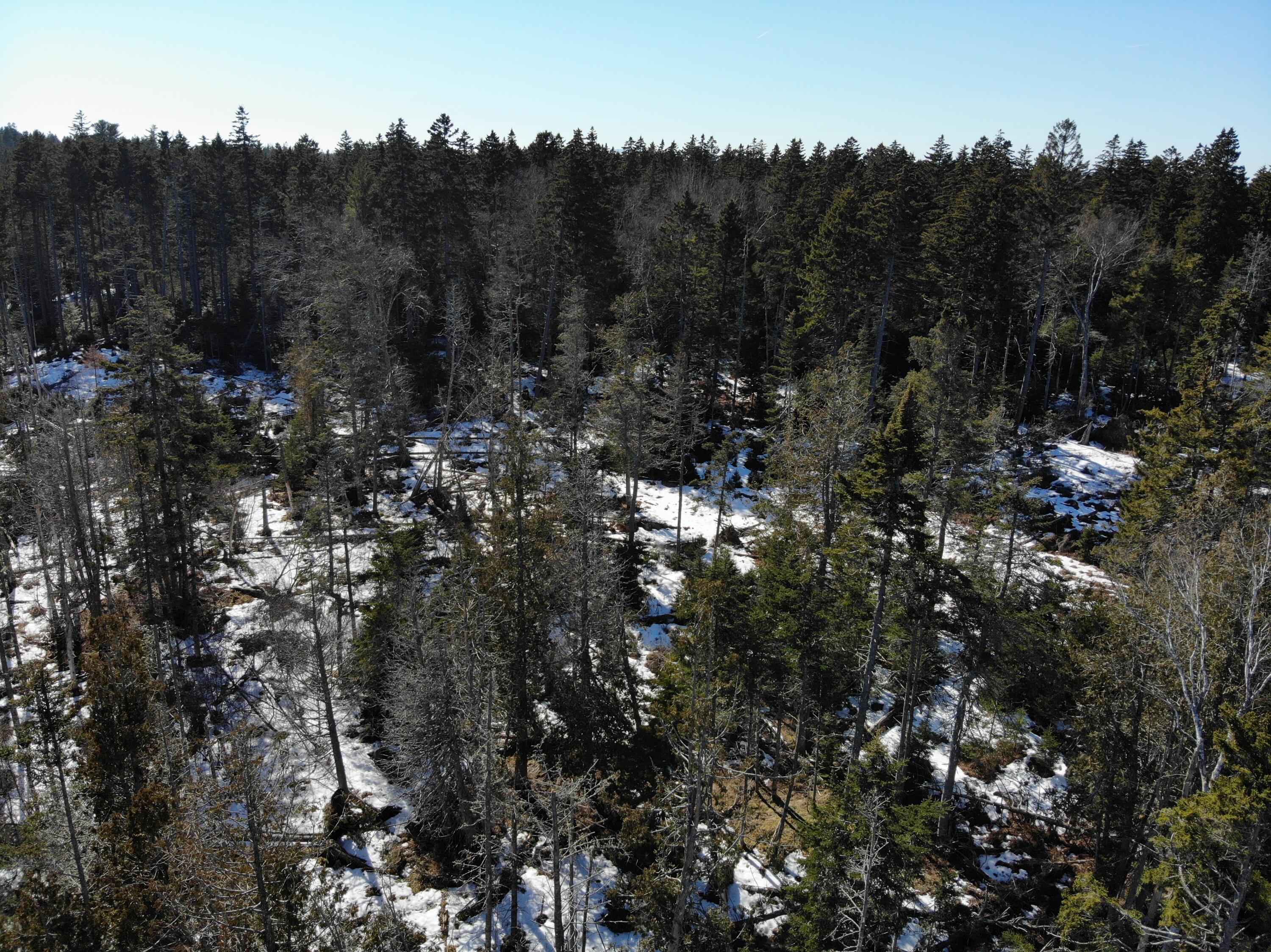 1148 Cape Rosier Road Brooksville, ME 04642 - Photo 16 of 18 1148 Cape Rosier Road, Brooksville