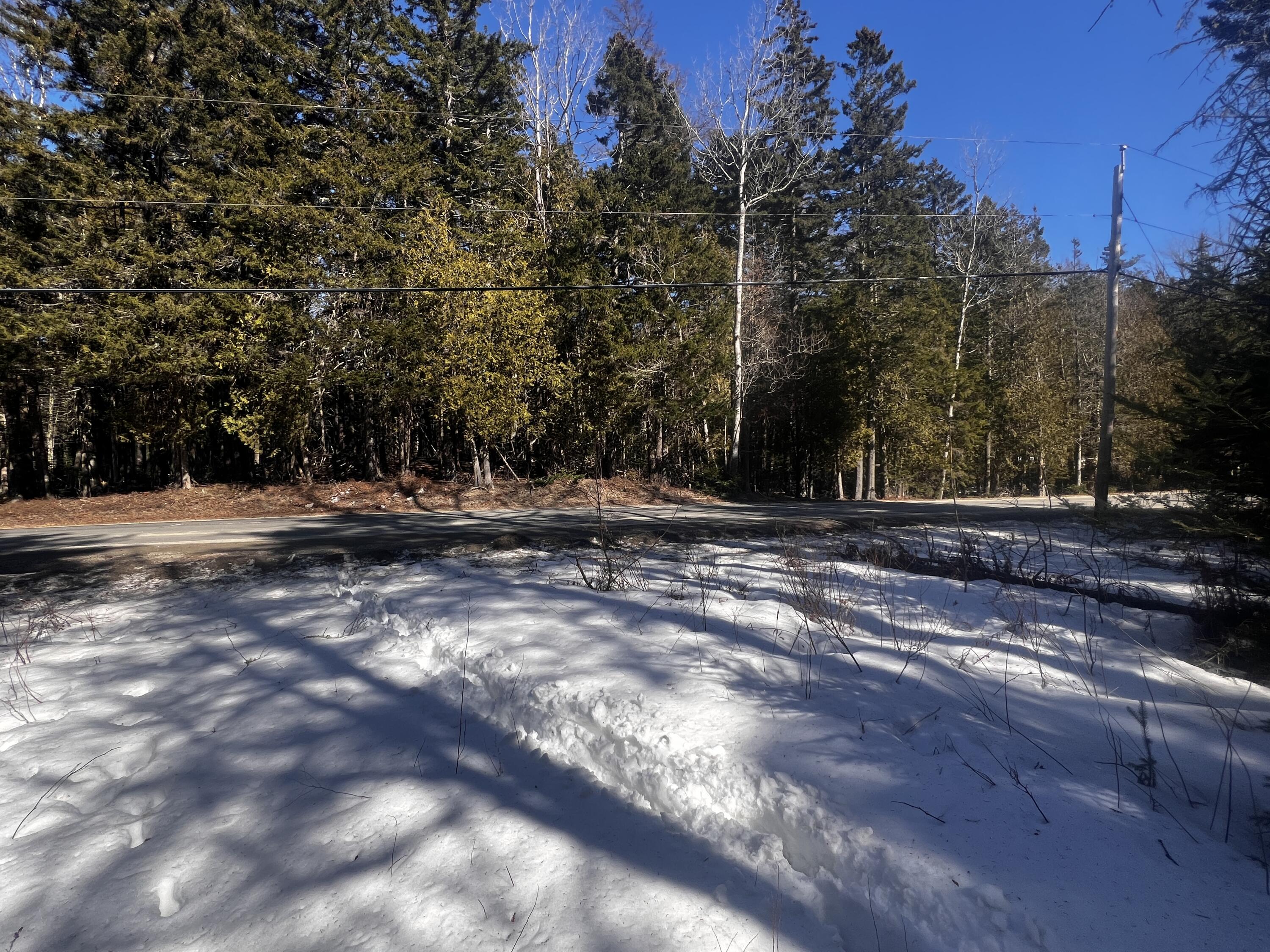 1148 Cape Rosier Road Brooksville, ME 04642 - Photo 18 of 18 IMG_2414