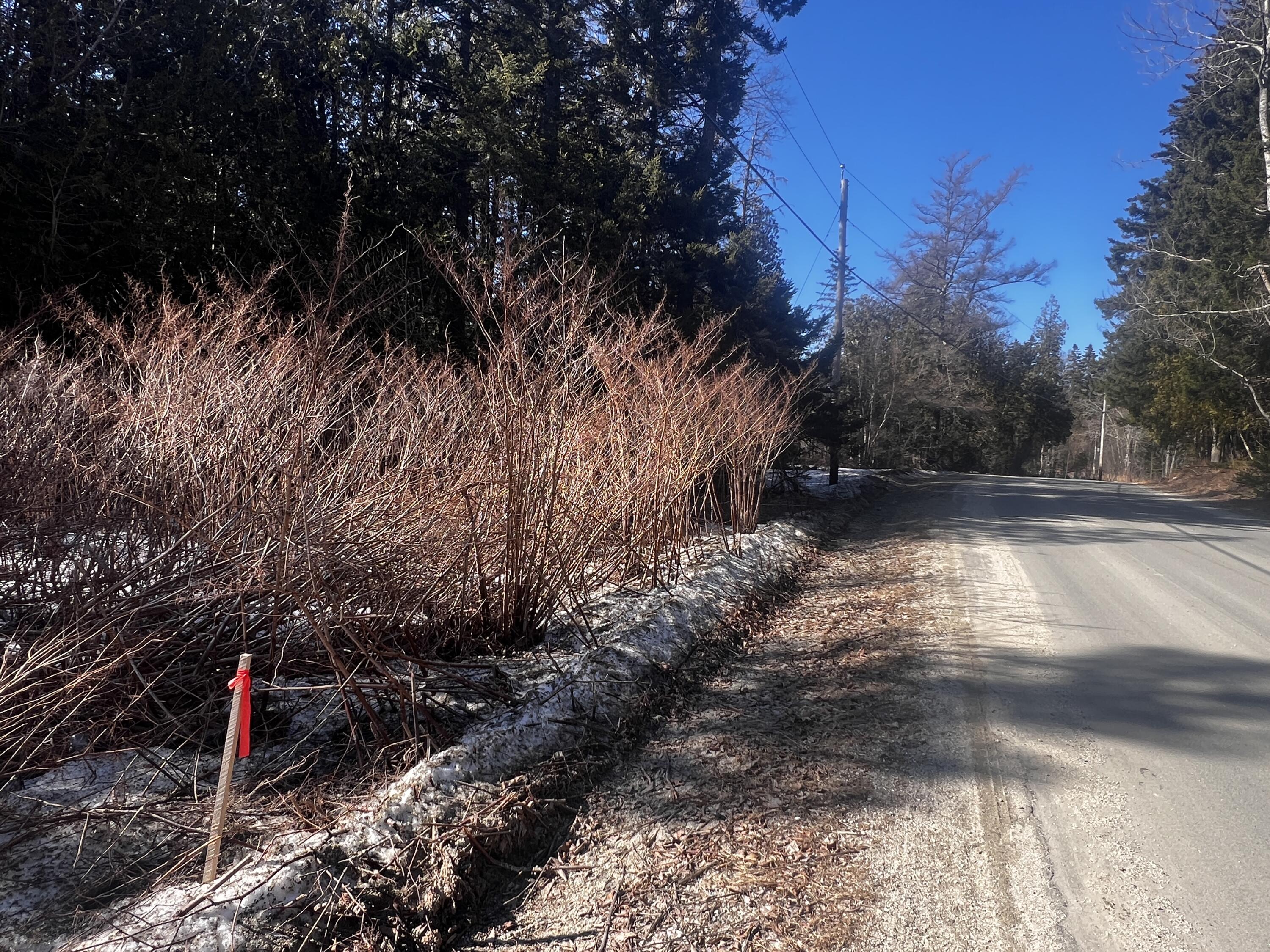 1148 Cape Rosier Road Brooksville, ME 04642 - Photo 2 of 18 IMG_2421