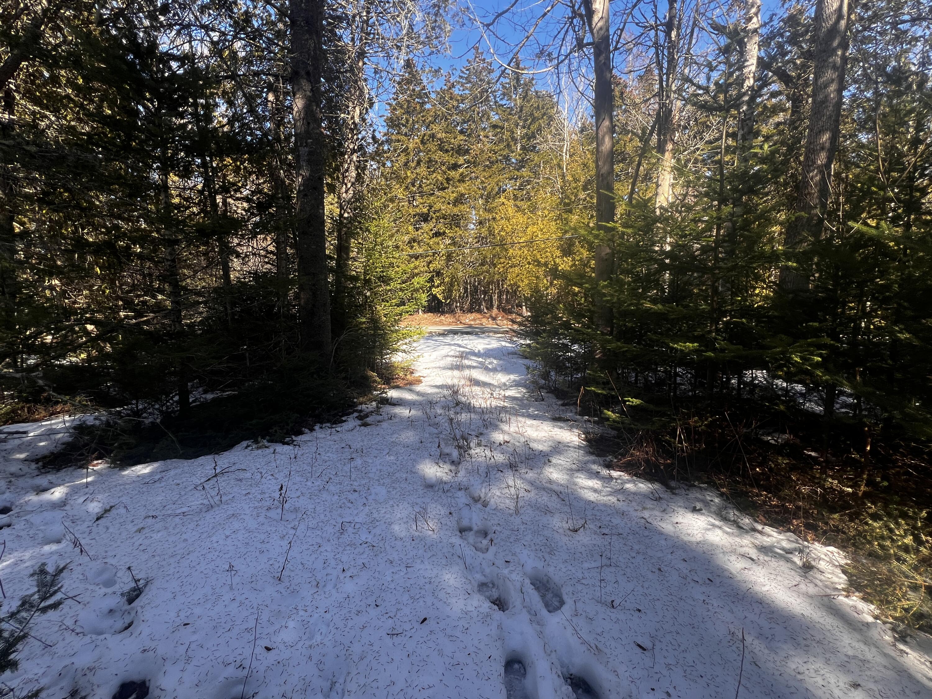 1148 Cape Rosier Road Brooksville, ME 04642 - Photo 6 of 18 1148 Cape Rosier Road, Brooksville