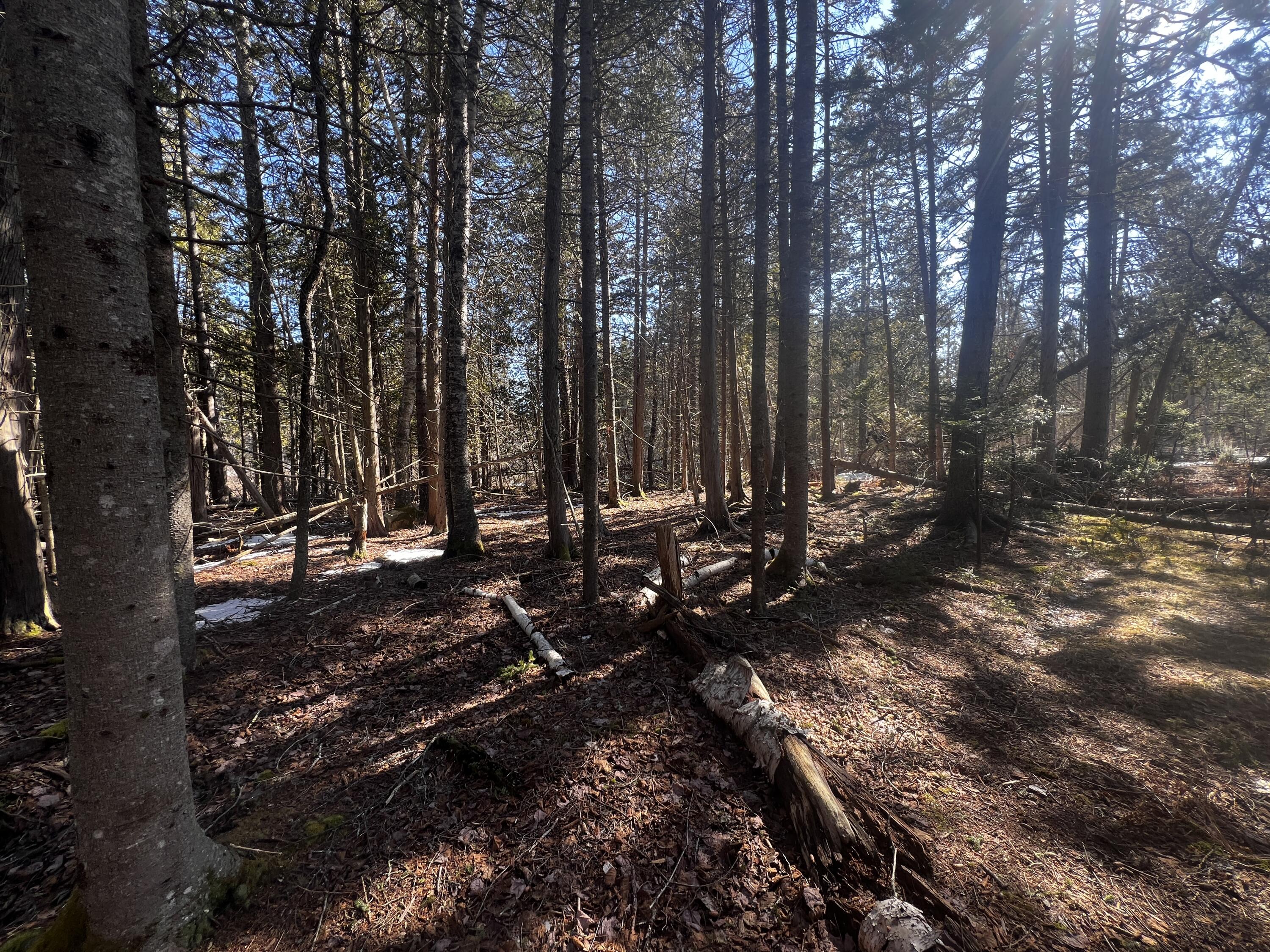 1148 Cape Rosier Road Brooksville, ME 04642 - Photo 7 of 18 1148 Cape Rosier Road, Brooksville
