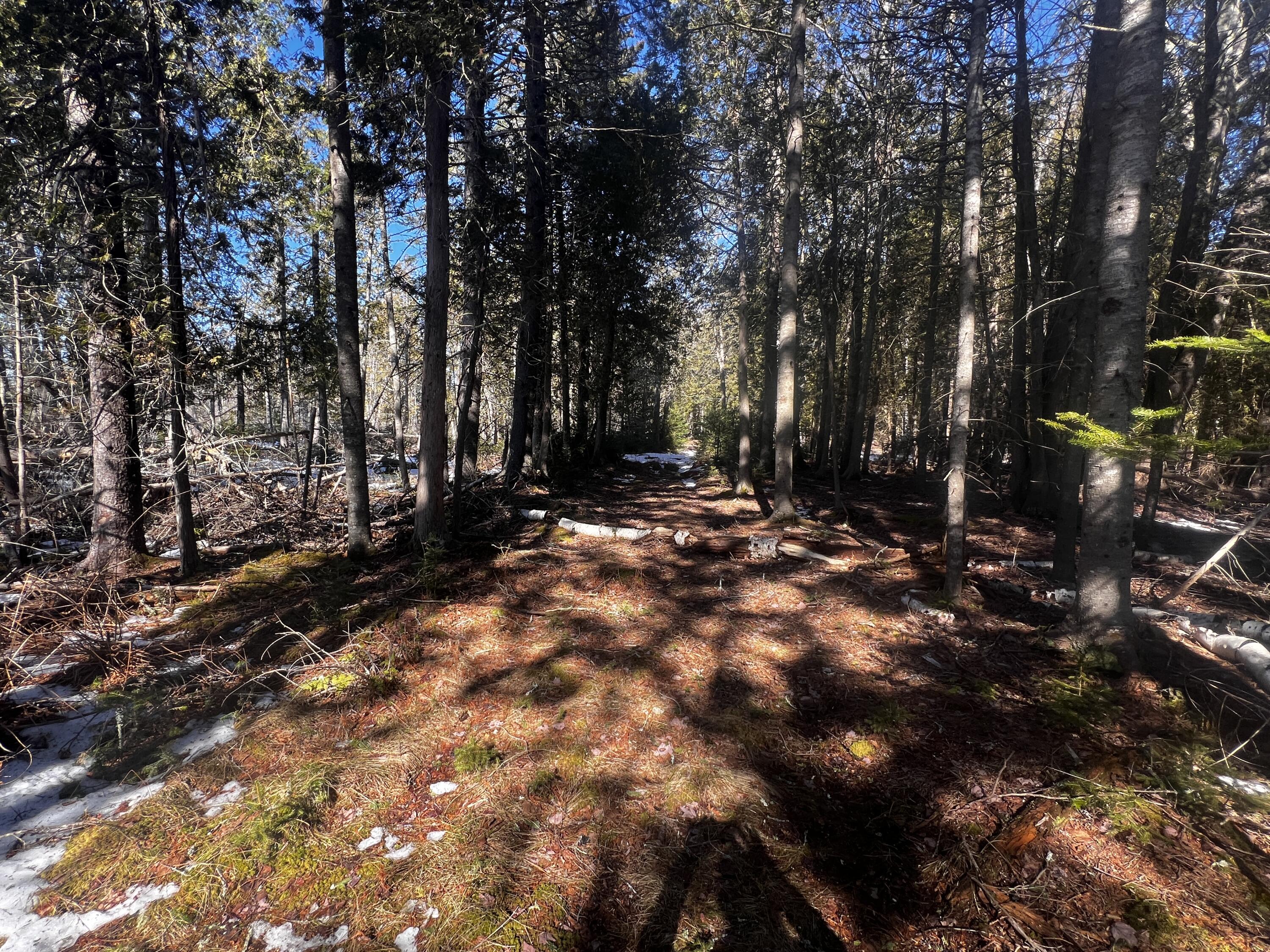 1148 Cape Rosier Road Brooksville, ME 04642 - Photo 9 of 18 IMG_2409