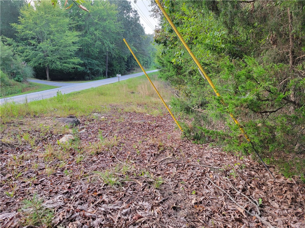 0 Singing Pines Road Seneca, SC 29678 - Photo 2 of 7 Gallery Image 2