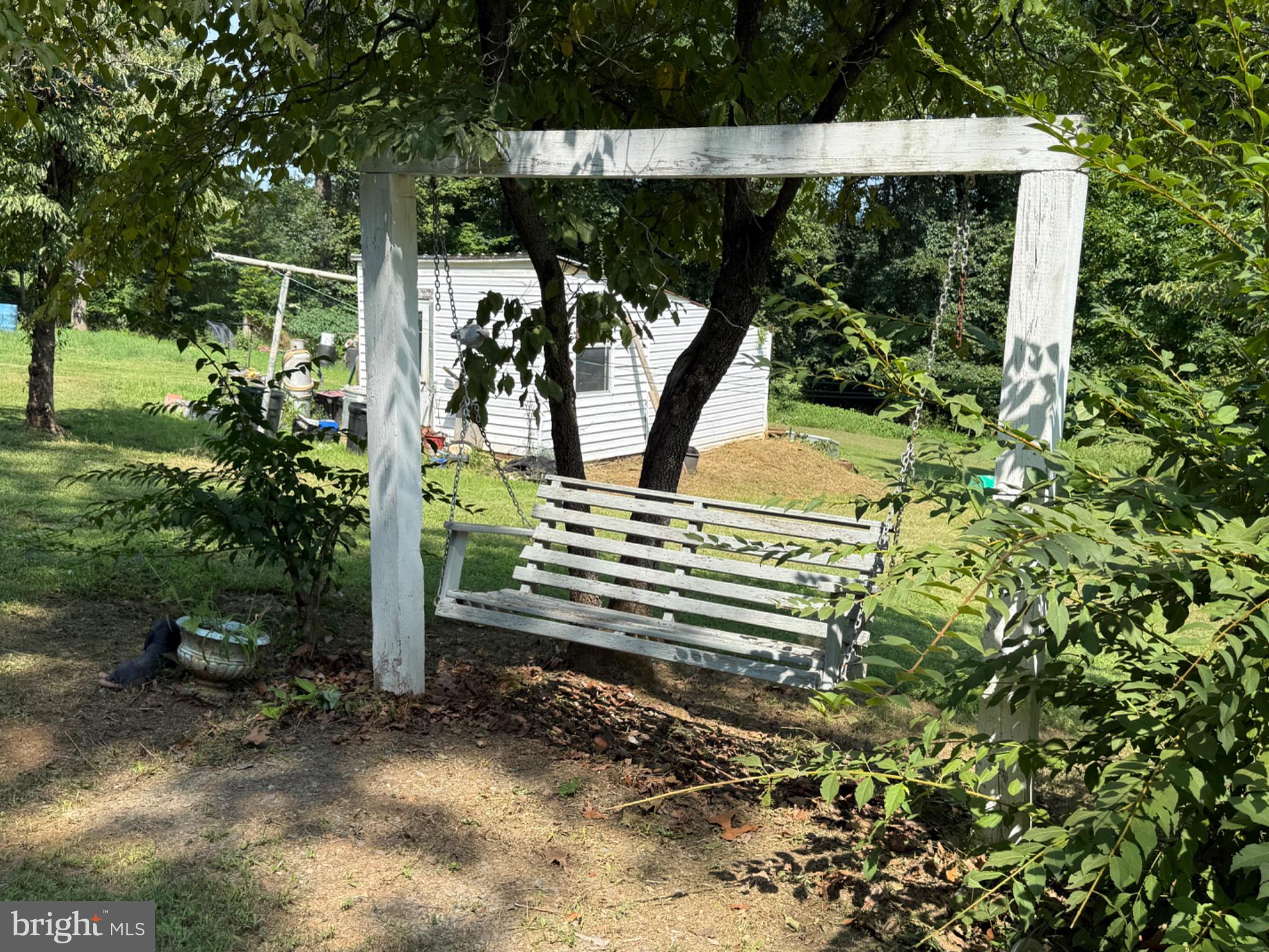 Charming swing framed by nature.