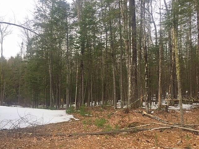 Tbd Tbd Coburn Road Carthage, ME 04224 - Photo 6 of 8 Photo