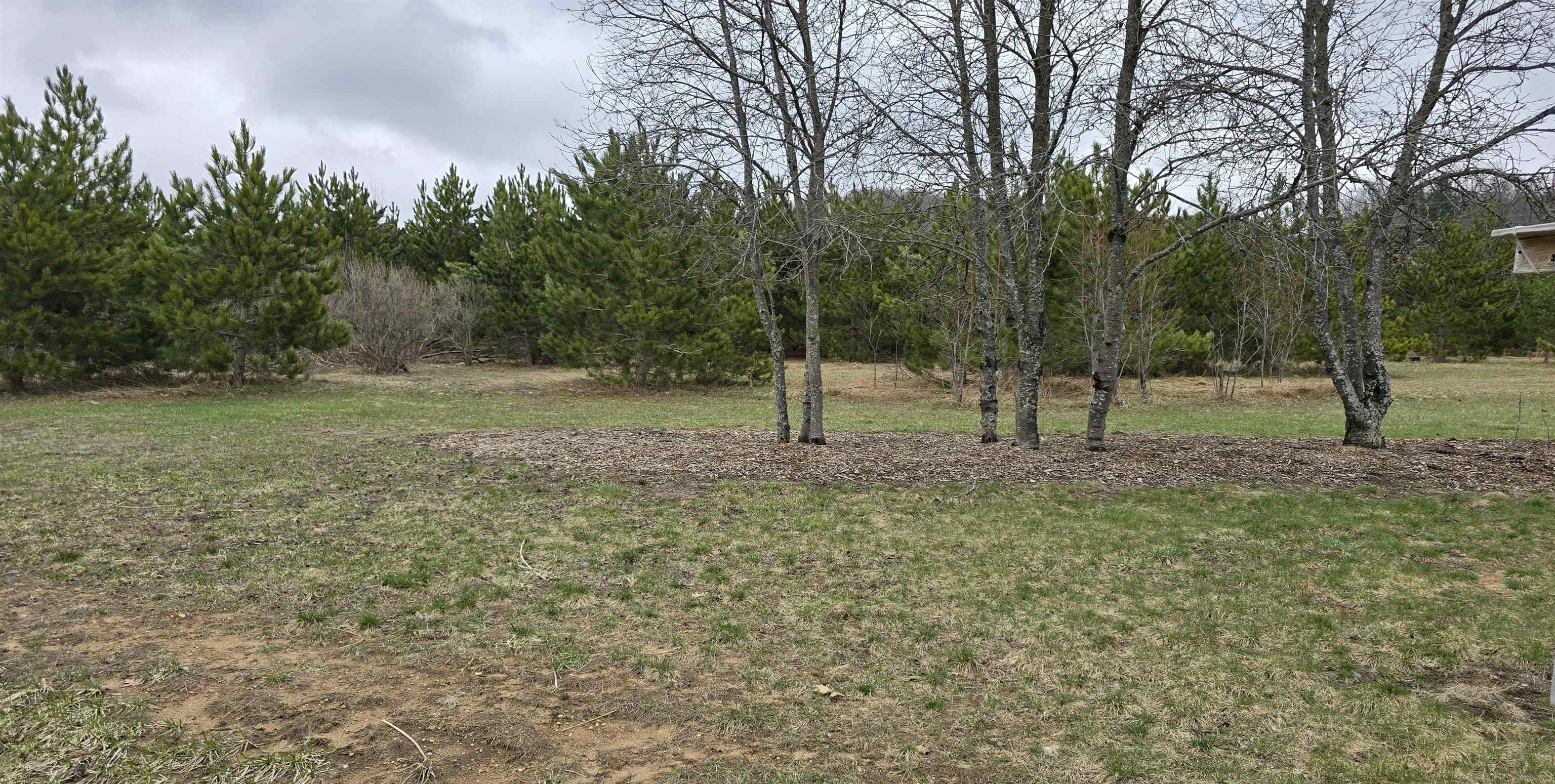8869 Townview Road Mancelona, MI 49659 - Photo 31 of 31 1932714-83e629dd-f6ca-440e-97c9-133aa63bf888.JPG
