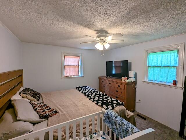 221 Camp Creek Road Northwest Riner, VA 24149 - Photo 26 of 35 1 (27)