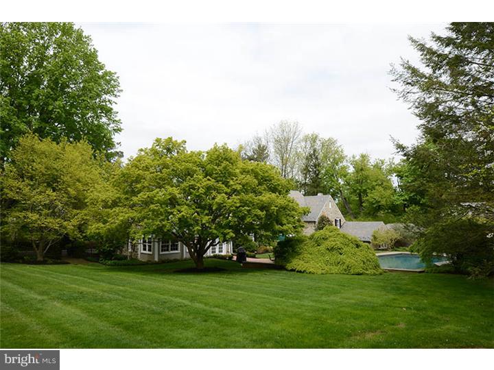 511 Fishers Road Bryn Mawr, PA 19010 - Photo 10 of 25 Back Yard