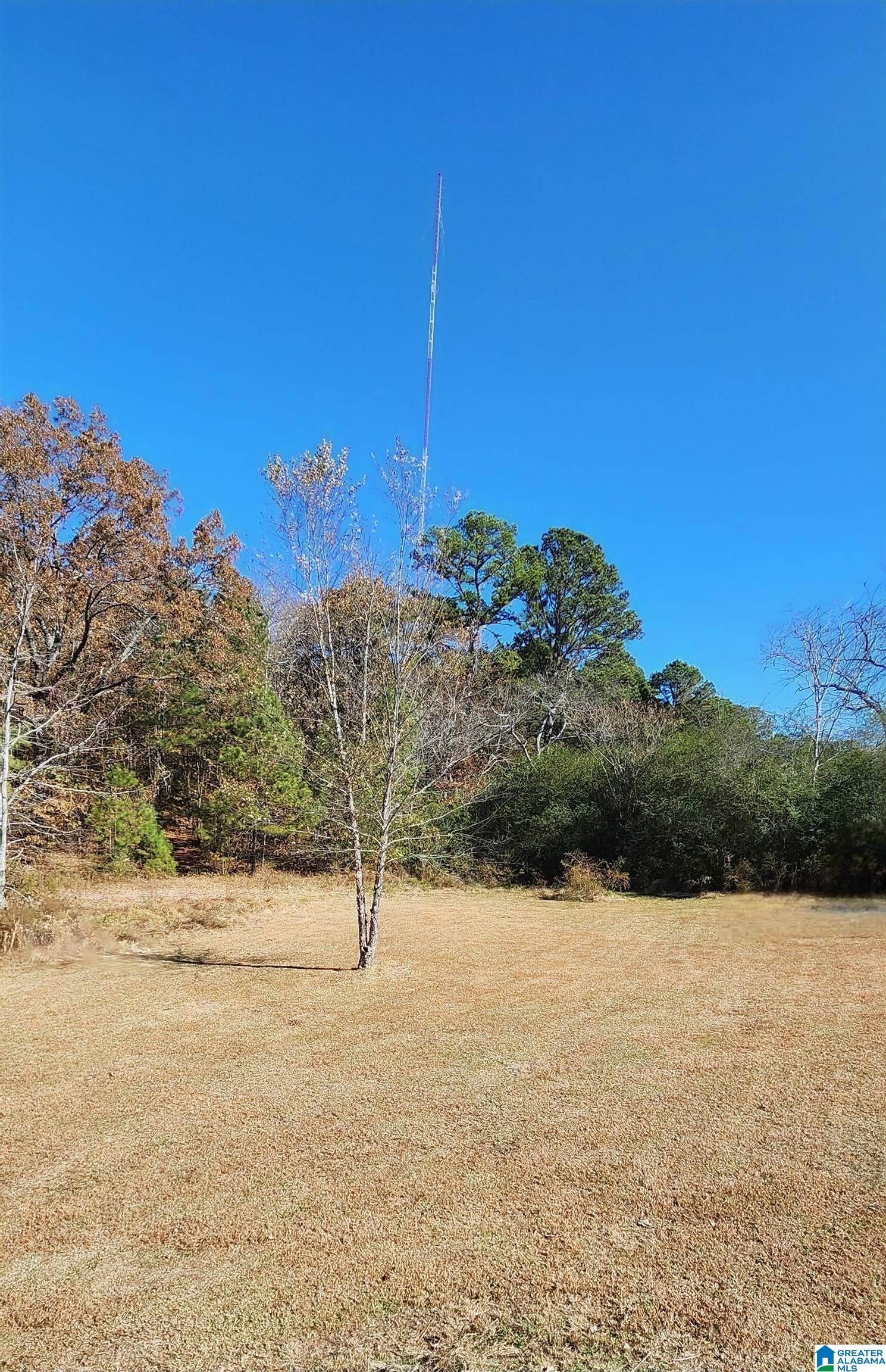 755 Co Highway 24 Springville, AL 35146 - Photo 30 of 53