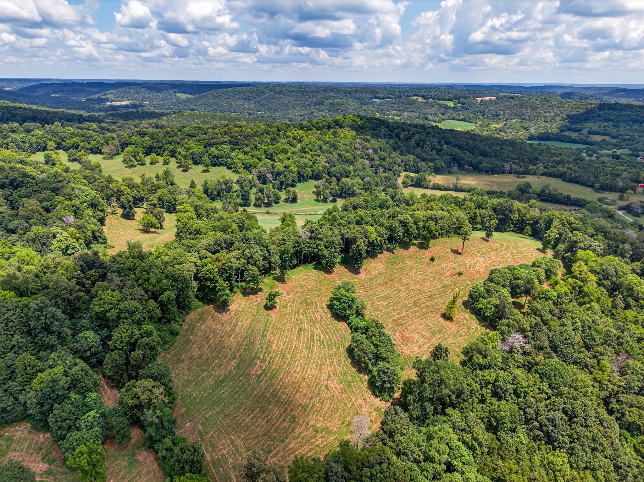 54 Warden Road Fayetteville, TN 37334 - Photo 30 of 87