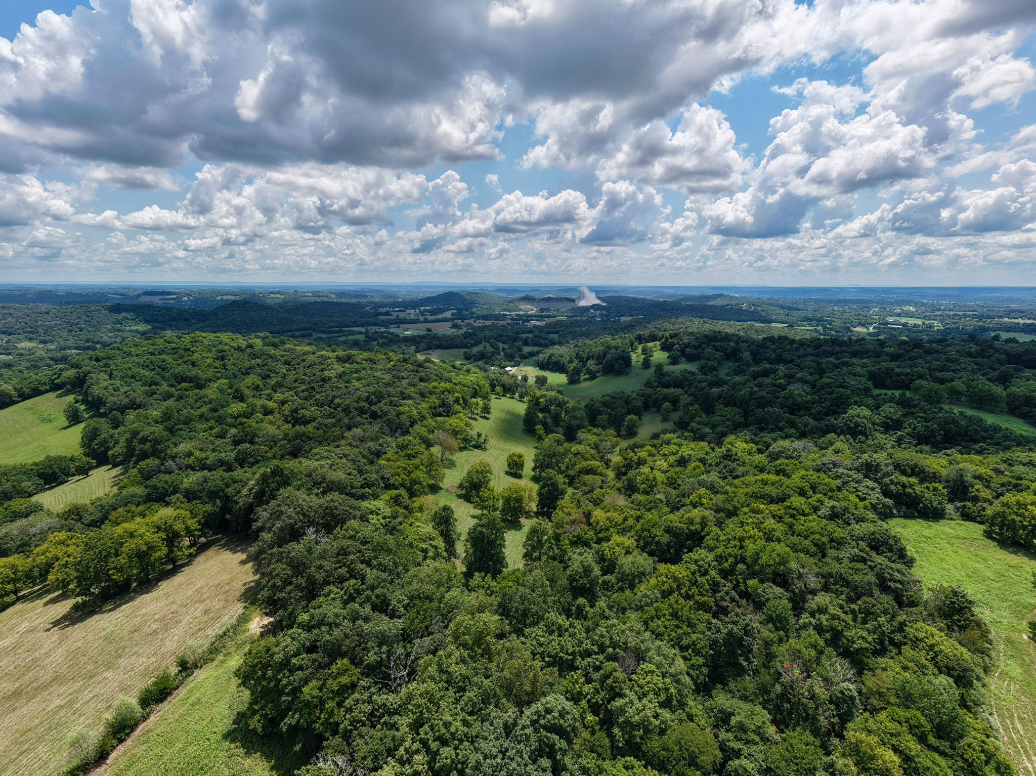 54 Warden Road Fayetteville, TN 37334 - Photo 36 of 87