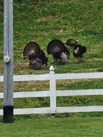 $2,250,000 | 54 Warden Road, Fayetteville, TN 37334