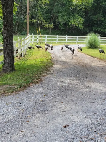 $2,250,000 | 54 Warden Road, Fayetteville, TN 37334