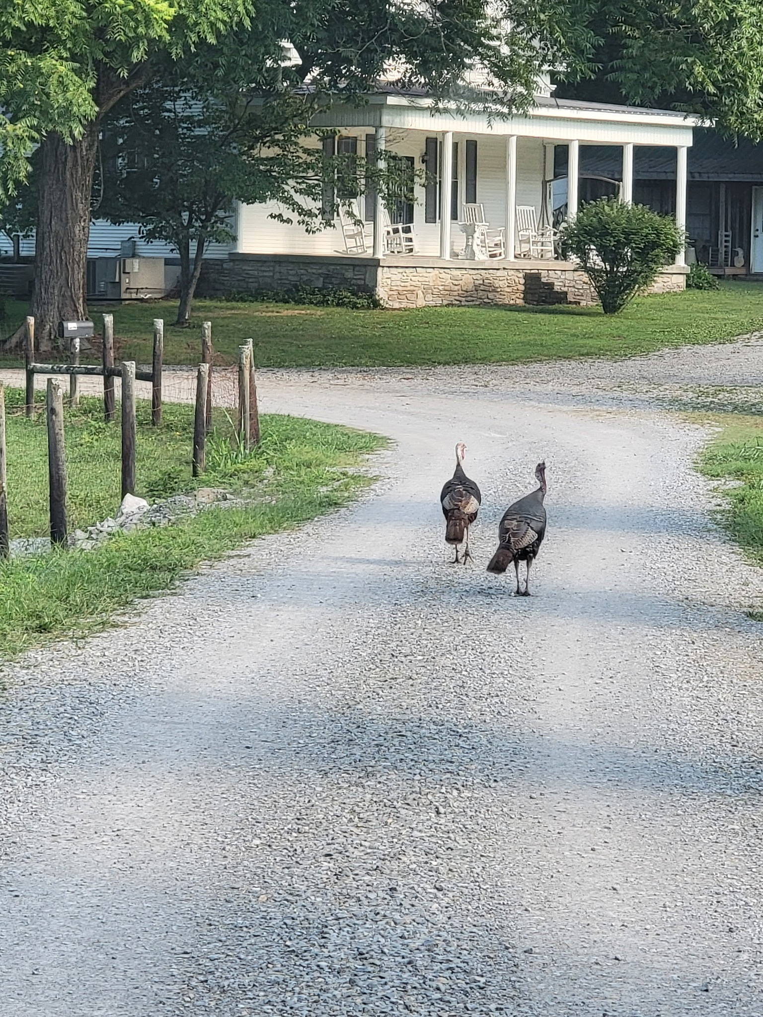 54 Warden Road Fayetteville, TN 37334 - Photo 87 of 87