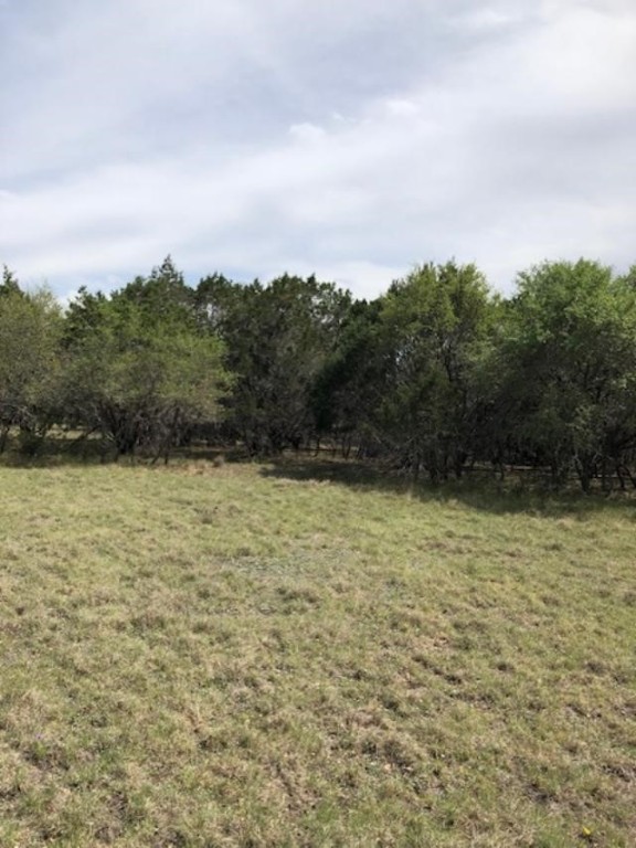 43 White Tail Run Uvalde, TX 78801 - Photo 2 of 12 Lot