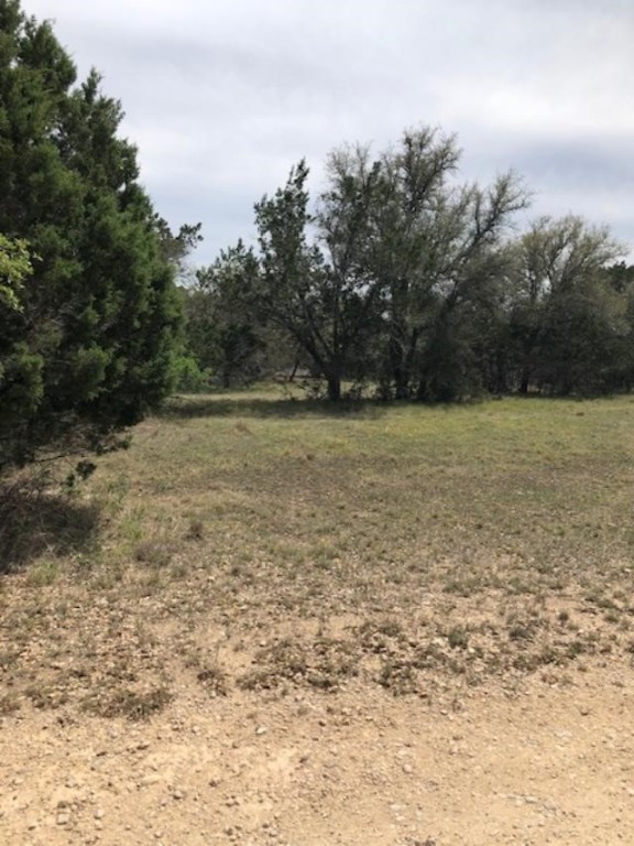 43 White Tail Run Uvalde, TX 78801 - Photo 3 of 12 Lot