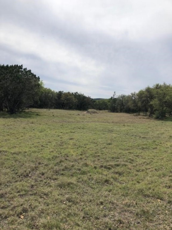 43 White Tail Run Uvalde, TX 78801 - Photo 4 of 12 Lot