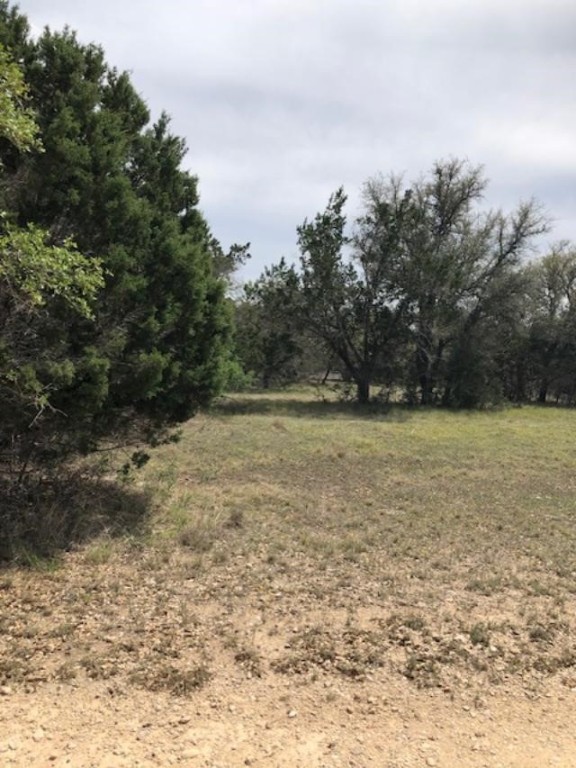 43 White Tail Run Uvalde, TX 78801 - Photo 5 of 12 Lot