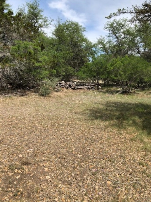 43 White Tail Run Uvalde, TX 78801 - Photo 6 of 12 Lot