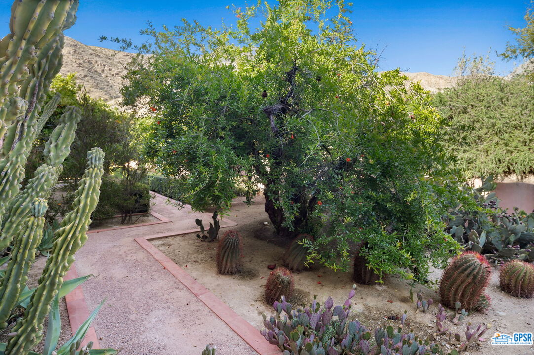1650 Ave Sevilla Palm Springs, CA 92264 - Photo 53 of 74 a view of an outdoor space and a yard