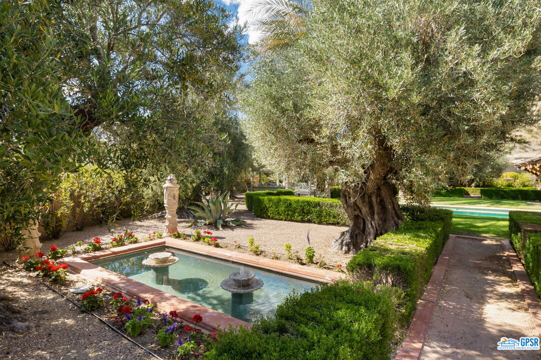 1650 Ave Sevilla Palm Springs, CA 92264 - Photo 8 of 74