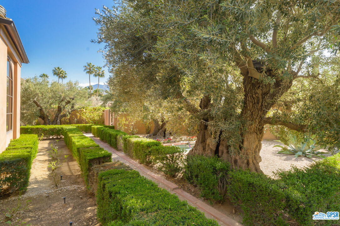 1650 Ave Sevilla Palm Springs, CA 92264 - Photo 9 of 74