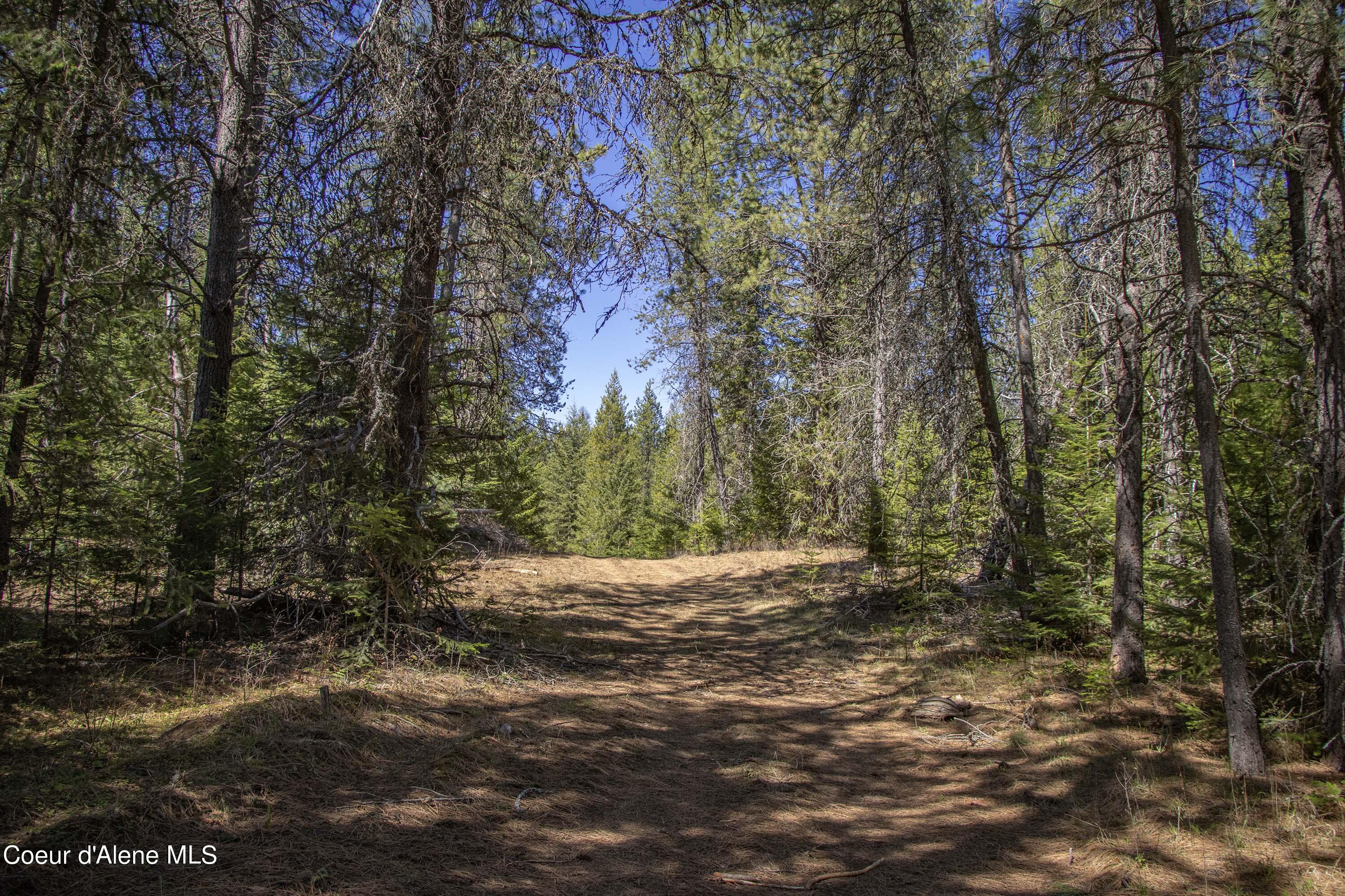 877 Heath Lake Road Sagle, ID 83860 - Photo 52 of 61 Walking Trails