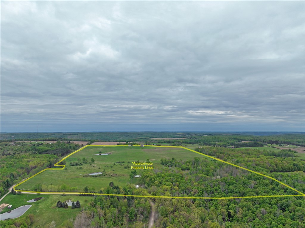 839 Call Hill Road Hartsville, NY 14843 - Photo 1 of 19