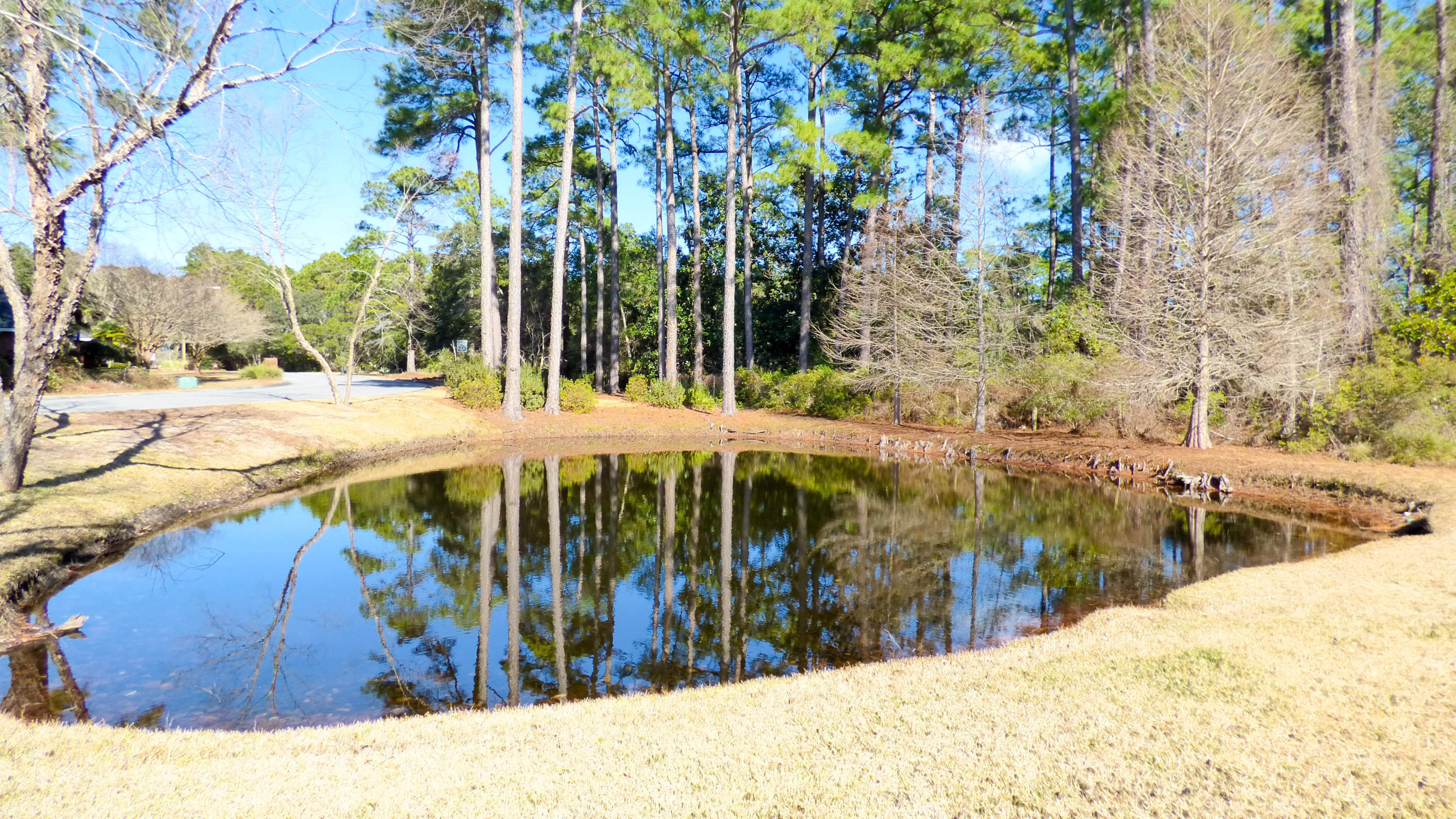4195 Madura Road Gulf Breeze, FL 32563 - Photo 3 of 39