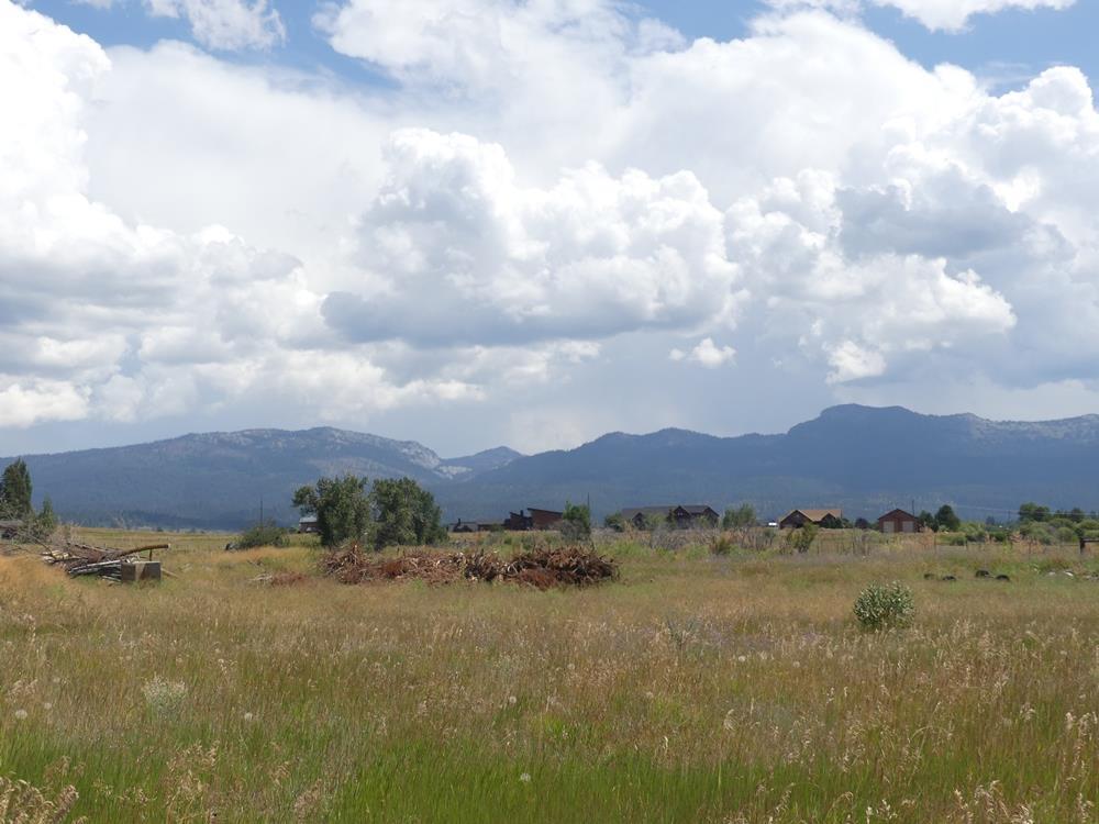 Lot 3 Springer Court, Unit 3 McCall, ID 83638 - Photo 2 of 11