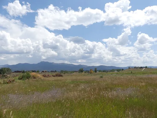 $275,000 | Lot 3 Springer Court, Unit 3, McCall, ID 83638
