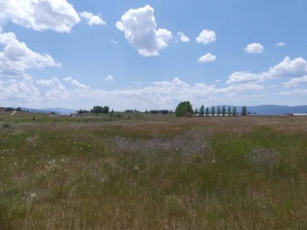 $275,000 | Lot 3 Springer Court, Unit 3, McCall, ID 83638