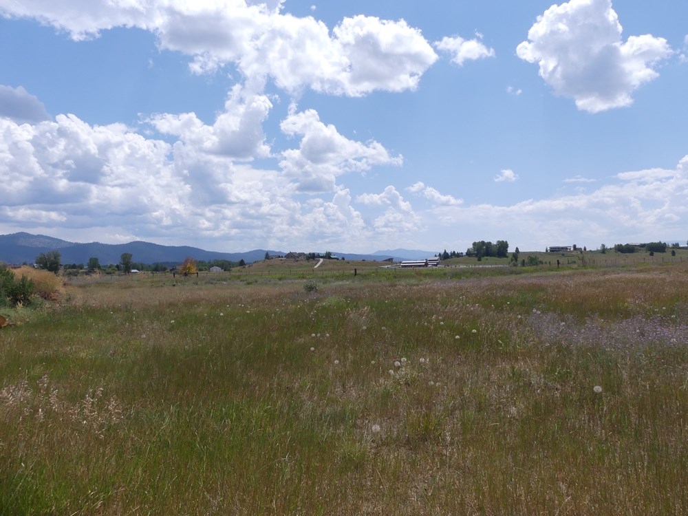 Lot 3 Springer Court, Unit 3 McCall, ID 83638 - Photo 6 of 11