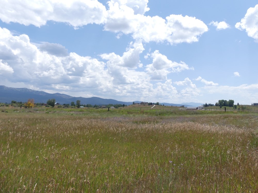 Lot 3 Springer Court, Unit 3 McCall, ID 83638 - Photo 9 of 11