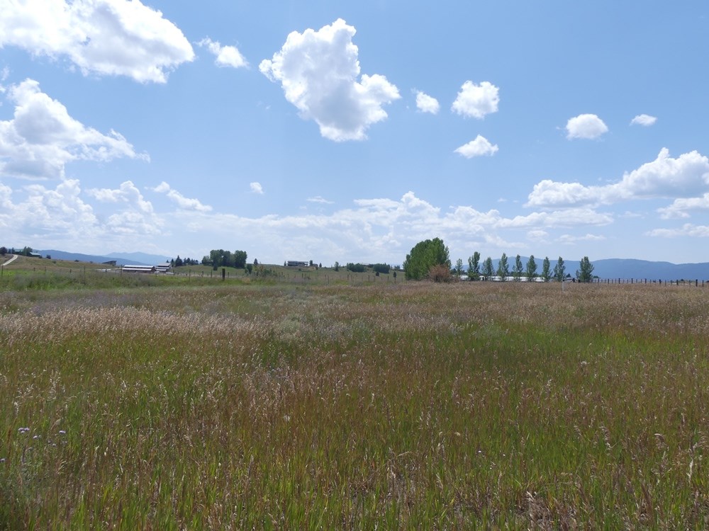 Lot 3 Springer Court, Unit 3 McCall, ID 83638 - Photo 10 of 11