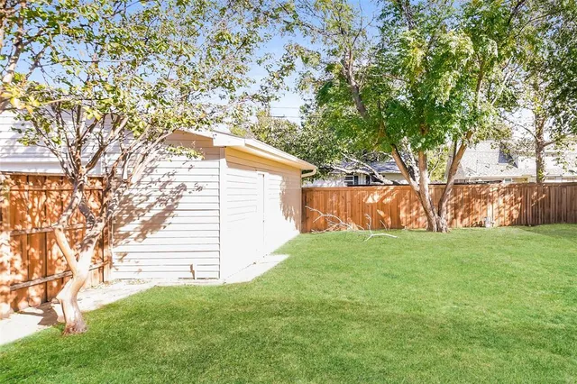 a view of backyard with tree