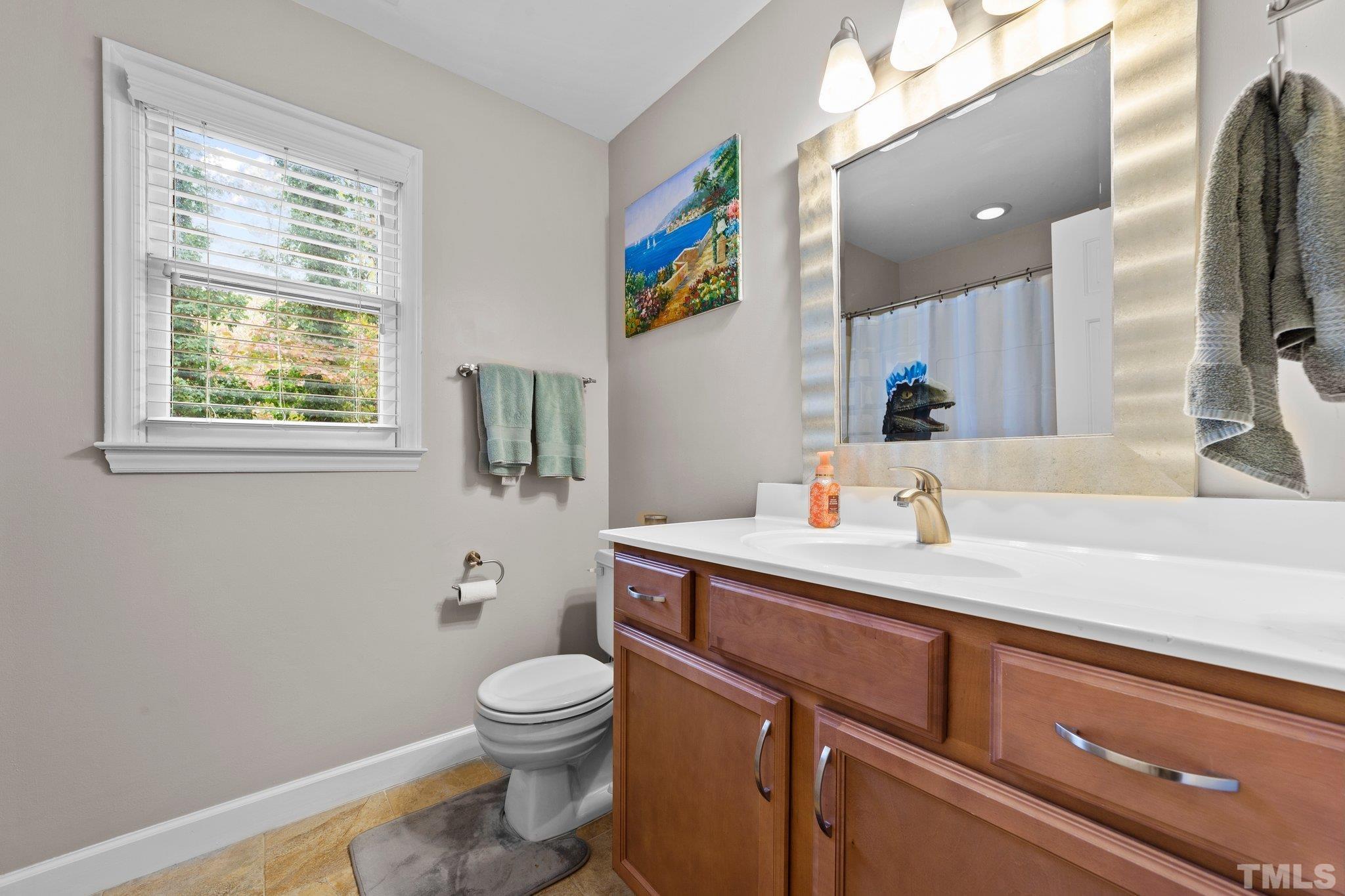 8709 Langtree Lane Raleigh, NC 27613 - Photo 28 of 49 a bathroom with a sink a toilet and shower