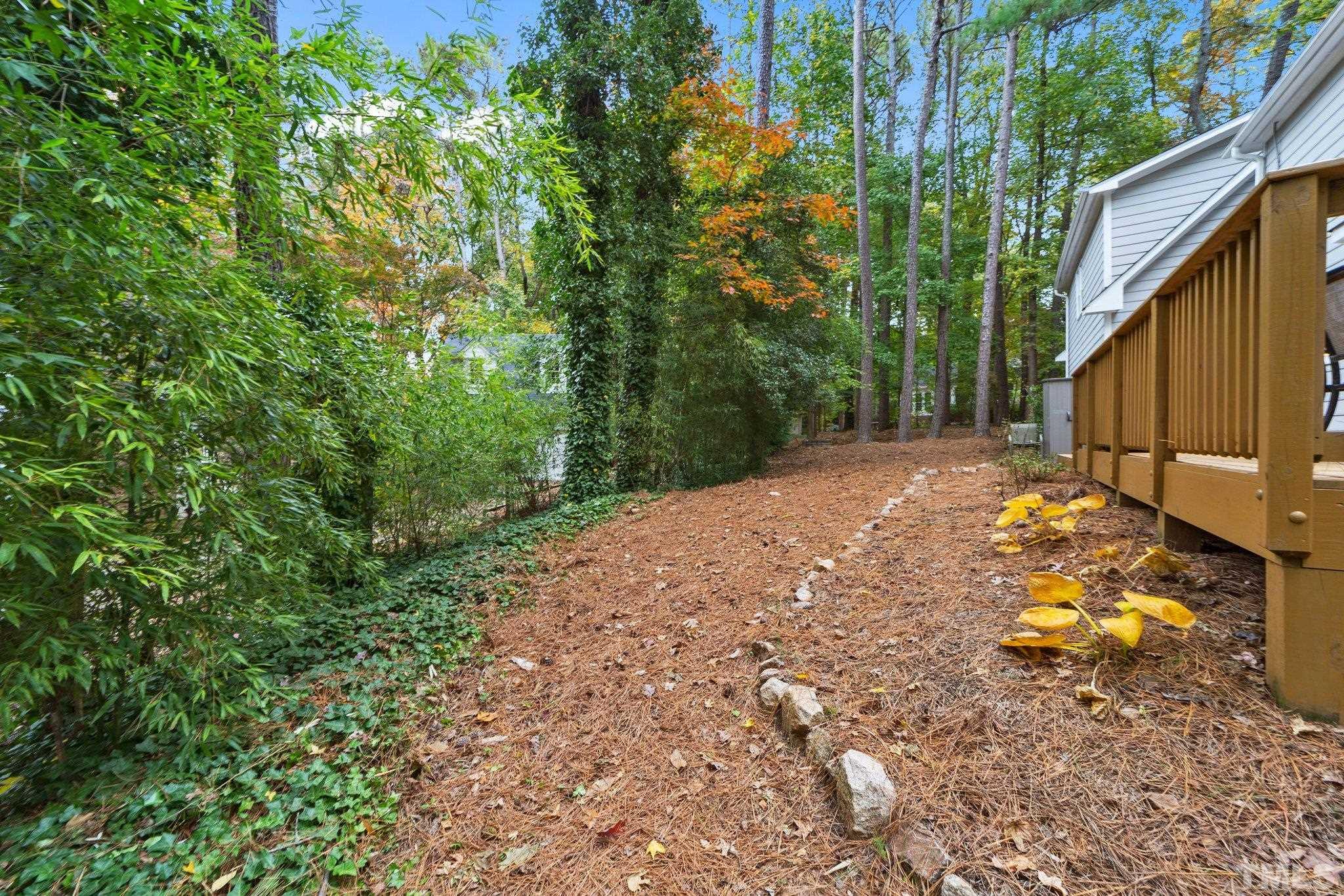 8709 Langtree Lane Raleigh, NC 27613 - Photo 40 of 49 a view of backyard of the house